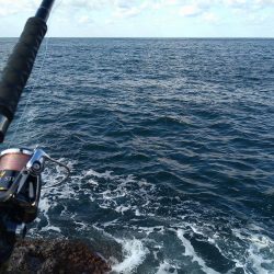 越前地磯でスレ