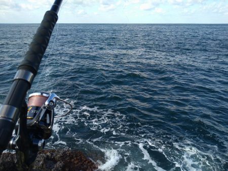 越前地磯でスレ