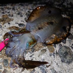 雨が降るまでに