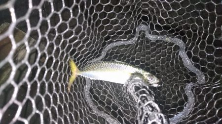 アジングアシストフック最強