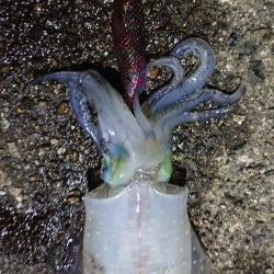 貸し切りでした