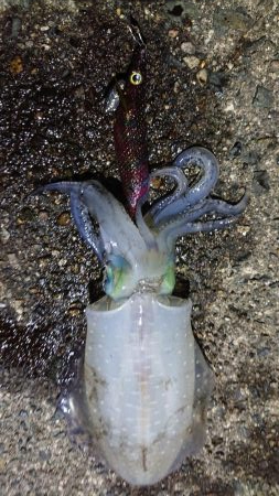 貸し切りでした