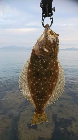 コアマンだけで勝負！