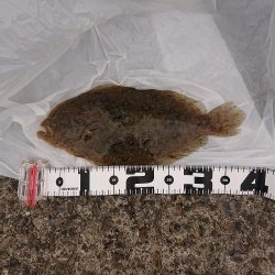 二人で青物狙い☺