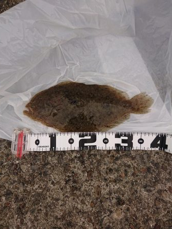 二人で青物狙い☺