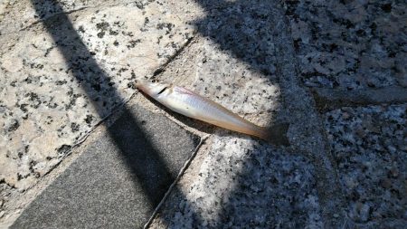 時期がやってきたみたい