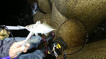 エギンガーからアジンガーへ？