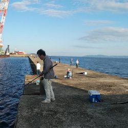 夕方２時間播磨新島キス調査