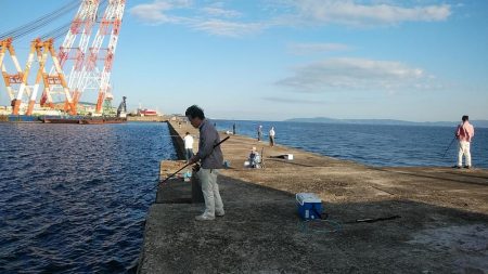 夕方２時間播磨新島キス調査