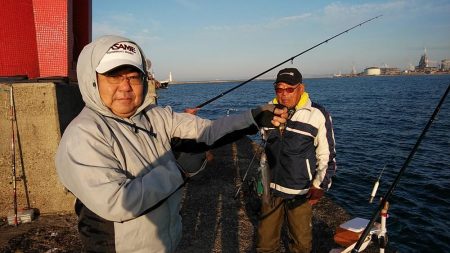 播磨新島のキス釣査