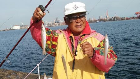 今日も播磨新島のキス釣査