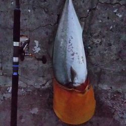 やったー！ルアーで初めて釣れました！