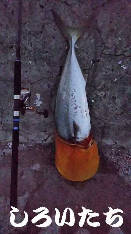 やったー！ルアーで初めて釣れました！