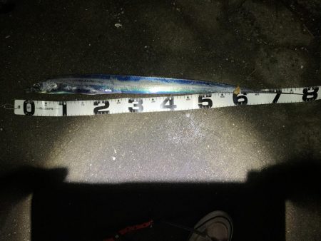 なんとか釣れた