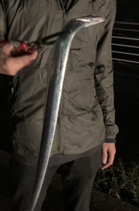 台風前の雨風の中なんとか、、