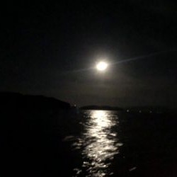 バチコンからのジギング