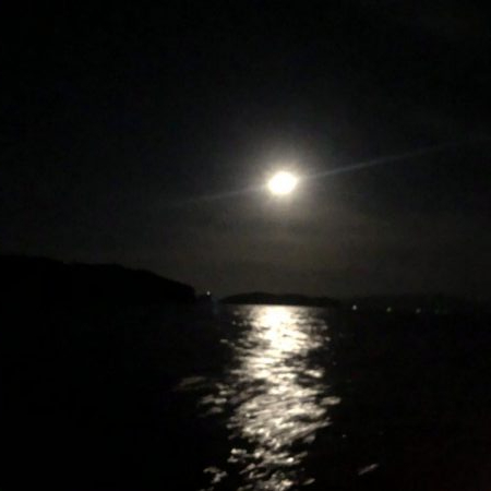 バチコンからのジギング