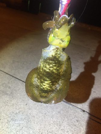 なんとかボウズのがれ