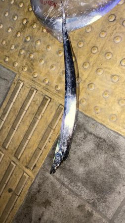 入れ食い、しかし