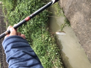 10分フィッシング