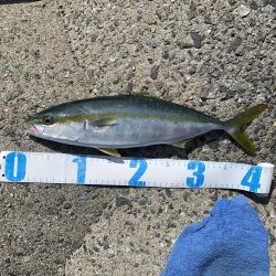 ショアジギング