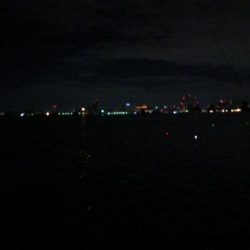 懲りずにコスモ