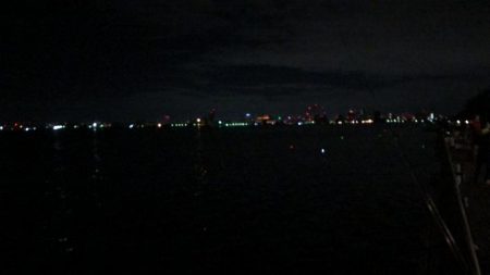 懲りずにコスモ