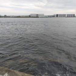 サバ釣り撃沈！