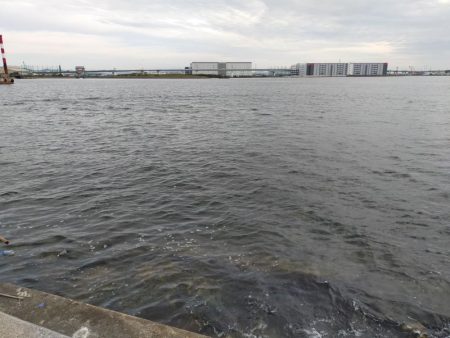 サバ釣り撃沈！