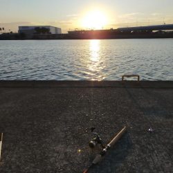 水面は静かでした。