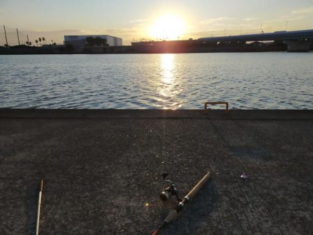 水面は静かでした。