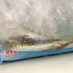 何をやってもダメ