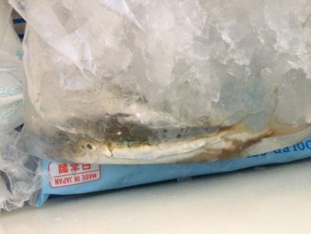 何をやってもダメ