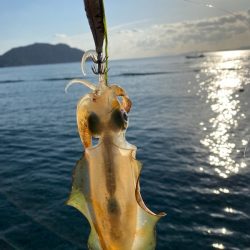 ２０ｃｍの壁が・・・