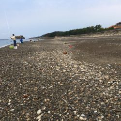 コバンアジ3匹、ムロアジ1匹