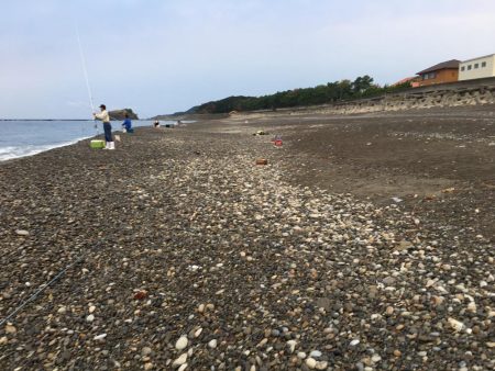 コバンアジ3匹、ムロアジ1匹