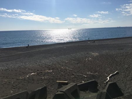 シマアジ、アイゴ、コバンアジ等