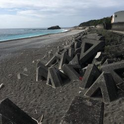 シマアジ、サンノジ、ムロアジほか