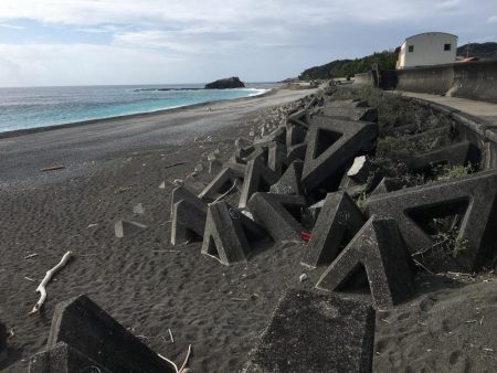 シマアジ、サンノジ、ムロアジほか