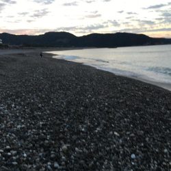 サンノジ2匹、ボラ2匹ほか