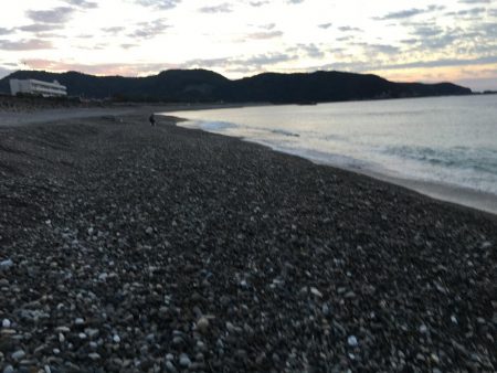 サンノジ2匹、ボラ2匹ほか