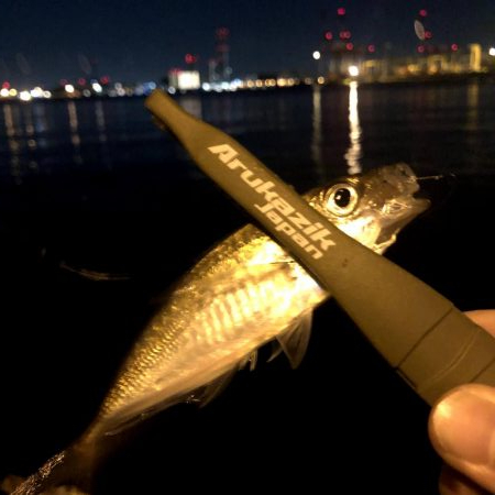 早朝アジングin大阪舞洲15（20201002）