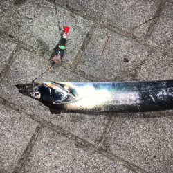 渋いはずですが、、、