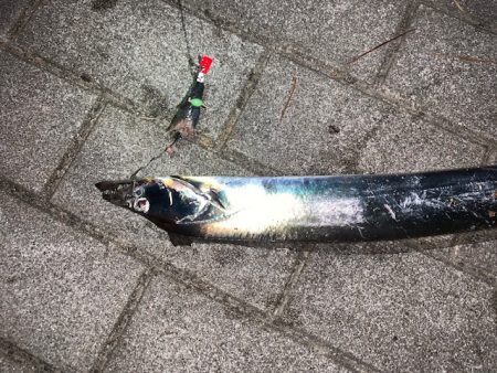 渋いはずですが、、、