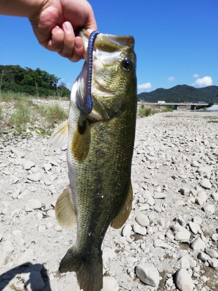 探し求めた一本