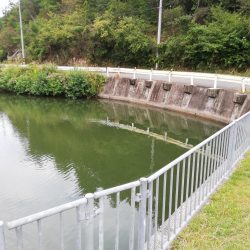 ヘビキャロ練習