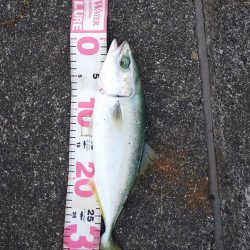 渋くなりました