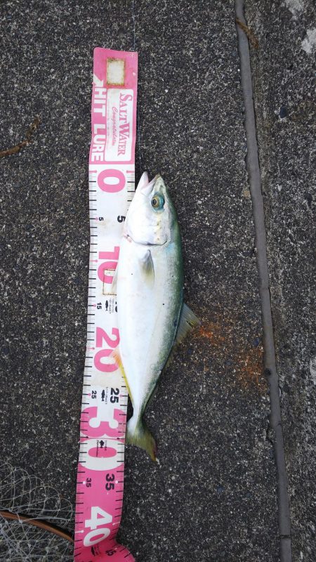 渋くなりました