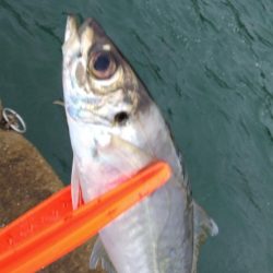 横風が強くて…