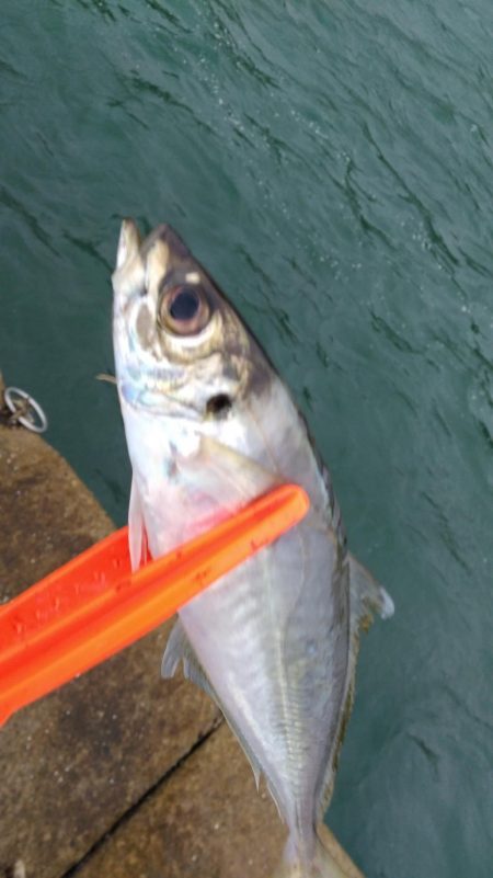 横風が強くて…